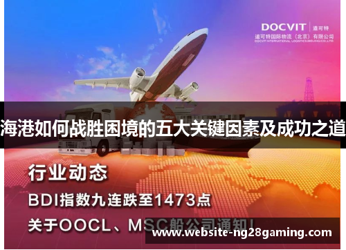 海港如何战胜困境的五大关键因素及成功之道