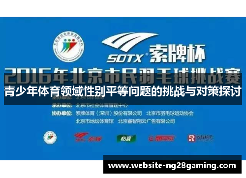 青少年体育领域性别平等问题的挑战与对策探讨