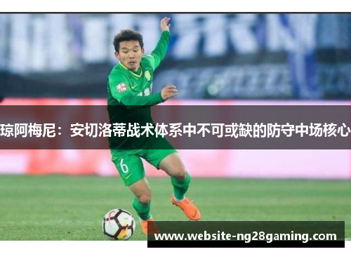 琼阿梅尼：安切洛蒂战术体系中不可或缺的防守中场核心