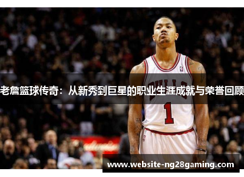 老詹篮球传奇：从新秀到巨星的职业生涯成就与荣誉回顾