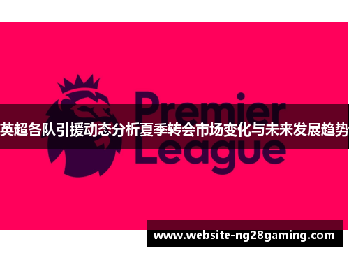 英超各队引援动态分析夏季转会市场变化与未来发展趋势